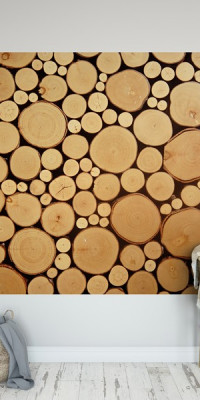 Poszter fiataloknak TPF160